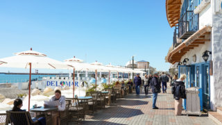В 2024 году Кубань приняла 150 тысяч иностранных туристов
