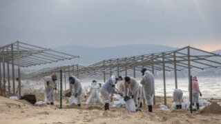 Кондратьев: Около 96 тысяч тонн замазученного грунта вывезли с Черноморского побережья