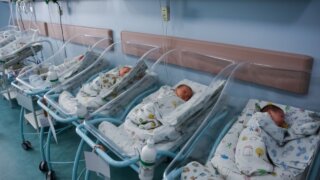 В ночь на Рождество в Краснодаре появились на свет 47 малышей