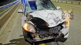 На дорогах Кубани за новогодние праздники погибли 16 человек