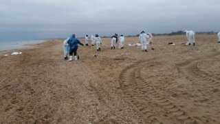 Анапе на ликвидацию последствий разлива мазута в Черном море выделили еще миллиард рублей