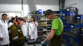 В Краснодаре собираются запустить линию по производству еды за 1,5 млрд рублей