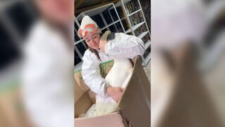 В Анапе вырученный из мазута лебедь в благодарность обнял свою спасительницу. ВИДЕО