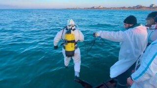 Под пирсом в Витязево водолазы собрали шесть мешков мазута