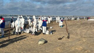 Краснодарские волонтёры за сутки вывезли 320 кубометров отходов с пляжей Анапы