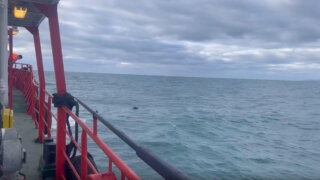 Возле кормы затонувшего в Черном море танкера введут запрет на движение судов