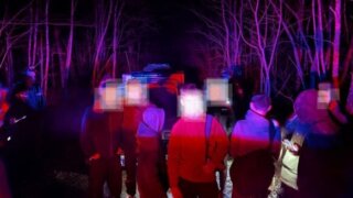 Семеро подростков заблудились ночью в лесу под Новороссийском