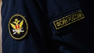 На Госуслугах появился сервис для пробации осужденных