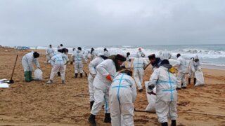 В МС России рассказали о ликвидации последствий ЧС в Керченском проливе