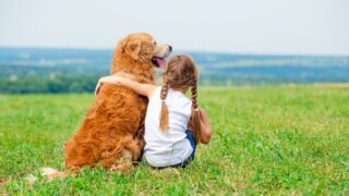 Любимое занятие или хобби — одна из составляющих счастья для каждого человека