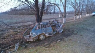 В Гулькевичском районе автомобиль врезался в дерево и загорелся
