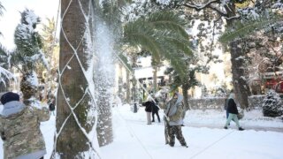 В Сочи ликвидируют последствия снегопада