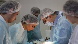 Кубанские ученые проводят доклинические испытания инновационной разработки «жидкая кожа»