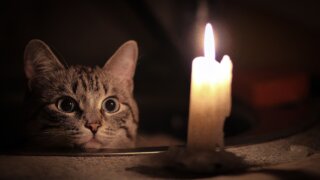 В Краснодаре больше 40 улиц остались без света из-за аварии