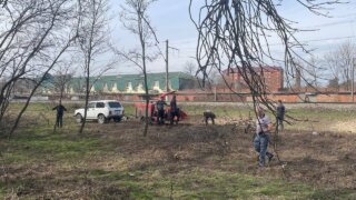 Санитарный марафон стартовал в Краснодаре