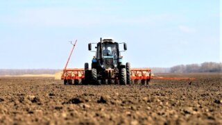 На Кубани стартовала посевная кампания яровых культур