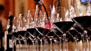 Кубанское вино покорило Terravino