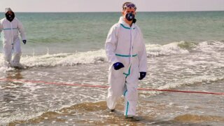 В АТОР рассказали о результатах инспекции анапских пляжей