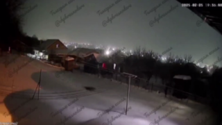 В одном из поселков Адыгеи заметили леопарда