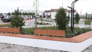 В Краснодаре открыли Аллею олимпийских чемпионов Кубани