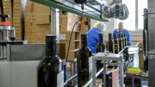 Численность занятых в сфере малого и среднего предпринимательства на Кубани достигла почти 1,3 миллиона человек
