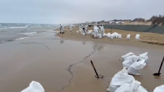 После шторма в Анапе на побережье обнаружены остатки мазута (ВИДЕО)