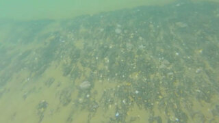 Водолазы Кубань-СПАС нашли 6 мазутных пятен на глубине Черного моря