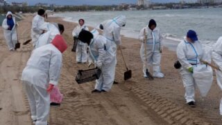 Новые выбросы мазута зафиксированы на участках побережья Анапы