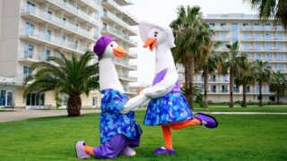 Сочинский отель взял под опеку гуся из зоопарка Москвы