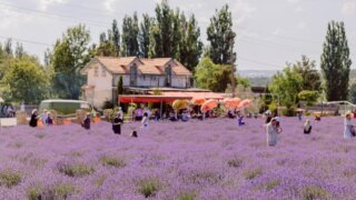 Стартовал конкурс на соискание премий администрации Краснодарского края в области туризма