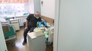 В Сочи семья пострадавшего от нападения хаски мальчика требует 23 млн с хозяина собак