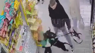 В Краснодаре собака без намордника напала на ребенка в магазине и укусила его за лицо