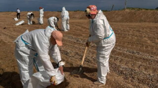 На побережье Анапы нашли новые выбросы мазута