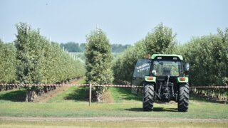 Краснодарский край обеспечен ресурсами для проведения сезонных полевых работ