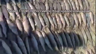 В Приморско-Ахтарске за незаконный вылов рыбы осужден местный житель