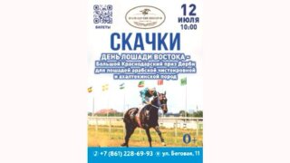 На Краснодарском ипподроме состоятся скачки, посвященные лошадям востока