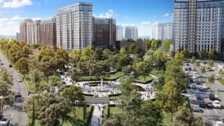 Зеленый тренд в Краснодаре: как парки и сады стали определяющими при выборе жилья