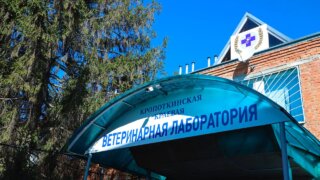Юрий Бурлачко рассказал, как поддерживают ветеринарную службу на Кубани