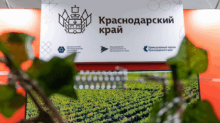 Международный форум «БИОПРОМ: промышленность и технологии для человека» проведут в Геленджике с 6 по 7 октября
