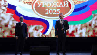 Кубанские аграрии собрали 11,3 миллиона тонн зерна