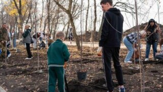 В Краснодаре на Западном обходе высадили плодовые деревья