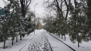 Дождь со снегом и гололед ждут Кубань в первый рабочий день года
