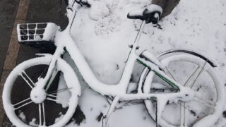 Экстренное предупреждение объявлено на Кубани из-за непогоды