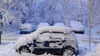 Снегопад обрушился на Краснодар в первый рабочий день года