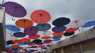 В Гидрометцентре рассказали, какая погода ждет жителей Кубани 23 февраля