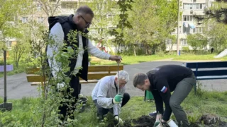 В Краснодаре высадили первые деревья по акции «Дерево 2.0»