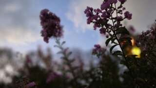 Депутат ЗСК Станислав Гринев помог детскому саду № 77 Краснодара