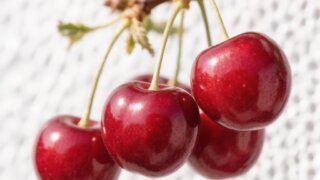 Стало известно, когда на прилавка Кубани появится местная черешня